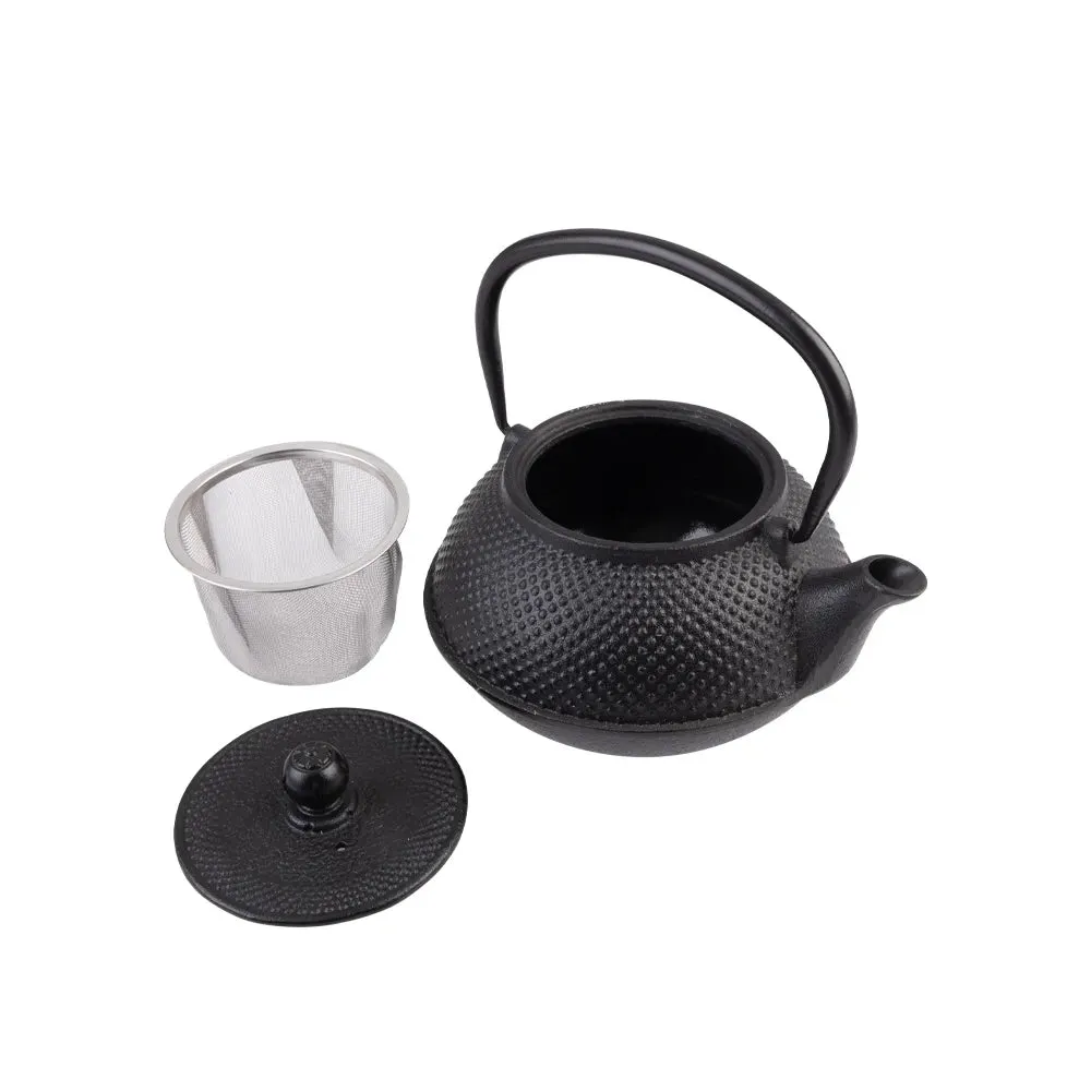 Avanti Hobnail Cast Iron Teapot 800ml