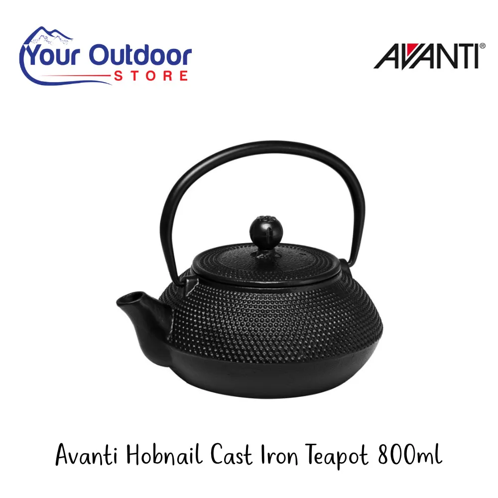 Avanti Hobnail Cast Iron Teapot 800ml