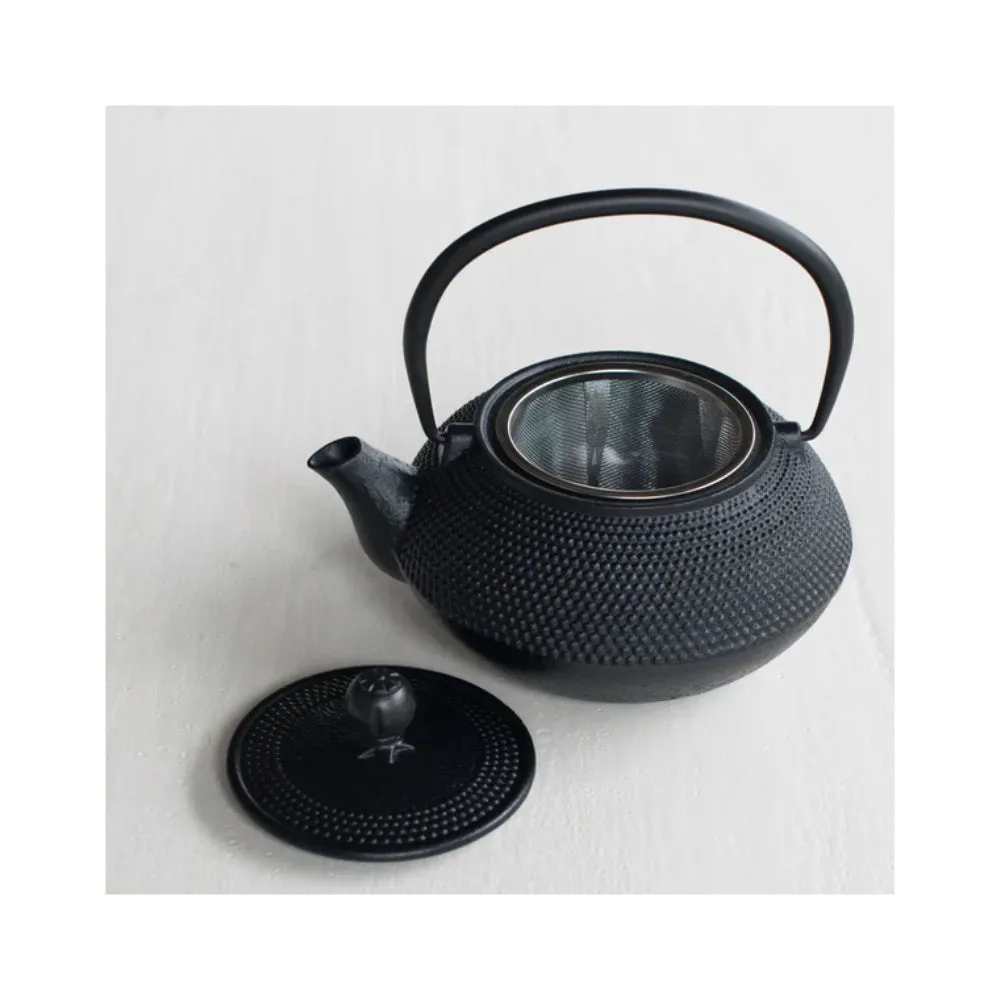 Avanti Hobnail Cast Iron Teapot 800ml