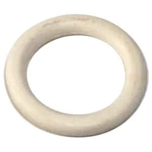 Pentair Drain Plug O-ring 192115Z