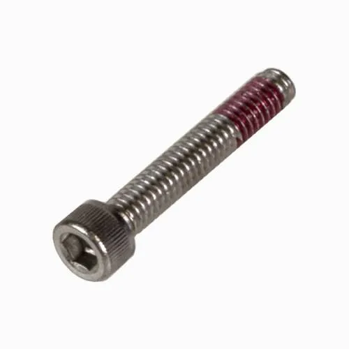 Pentair XF Series Pump Diffuser Screw 353323