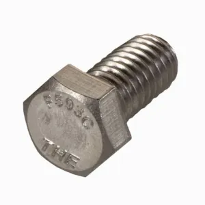 Polaris Booster Pump Bolt P35