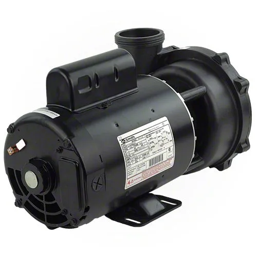 Waterway Executive 2 Horsepower 2 Spd 56 Frame Pump 3720821-13 - 2.5" Intake