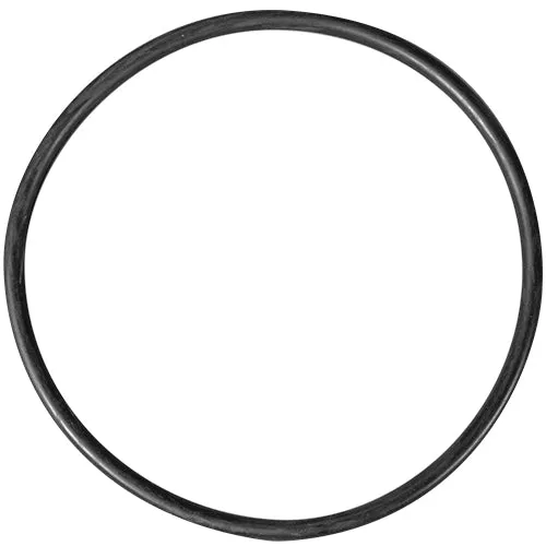 Waterway Trap Lid O-Ring 805-0439